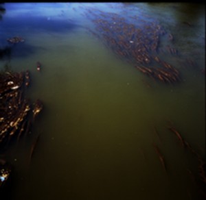 oradea fluss web