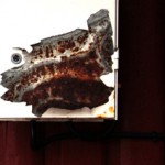 frog